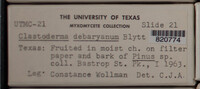 Image Associated With the Occurence